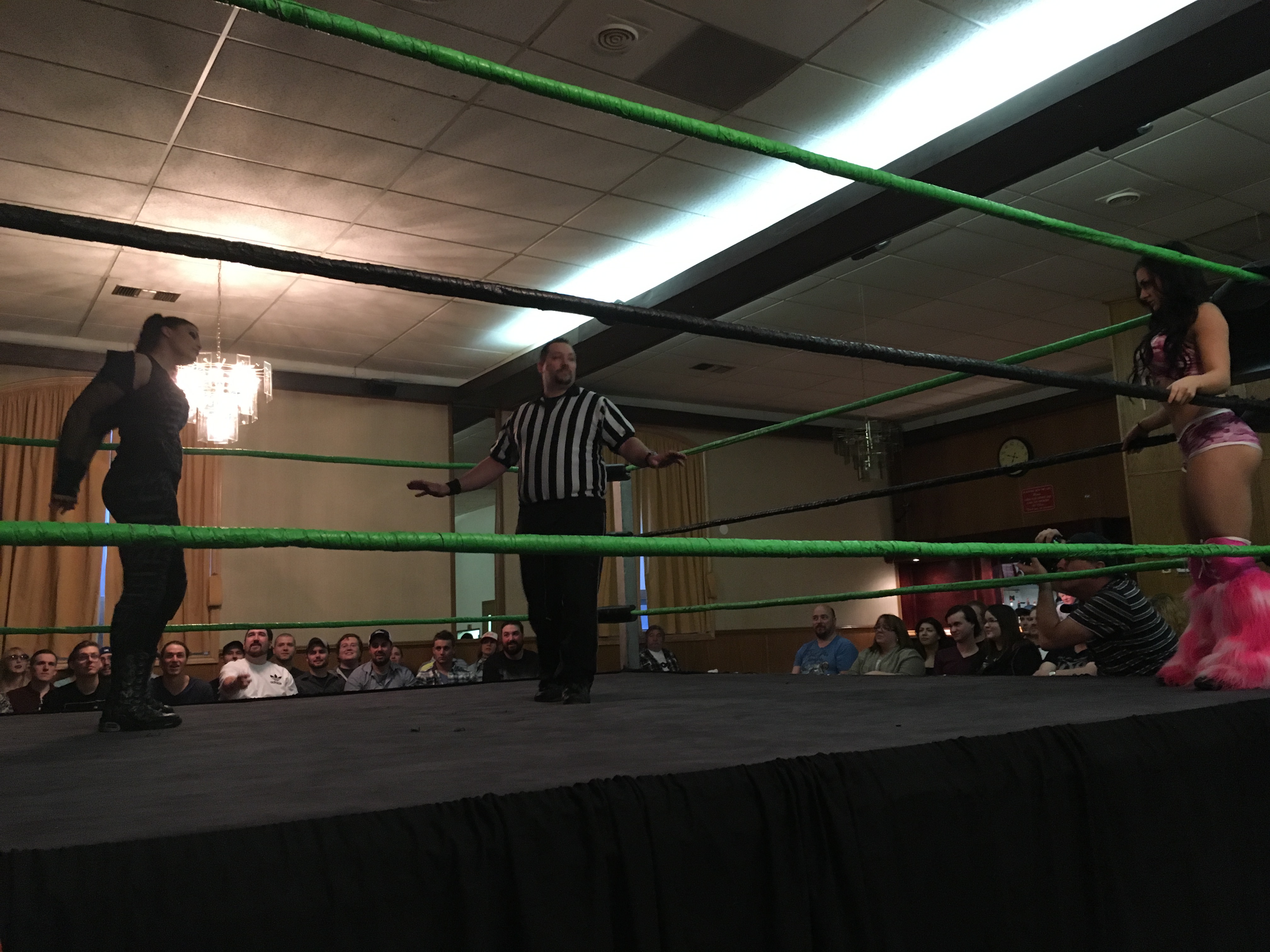 Everything is Wrestling (to me)